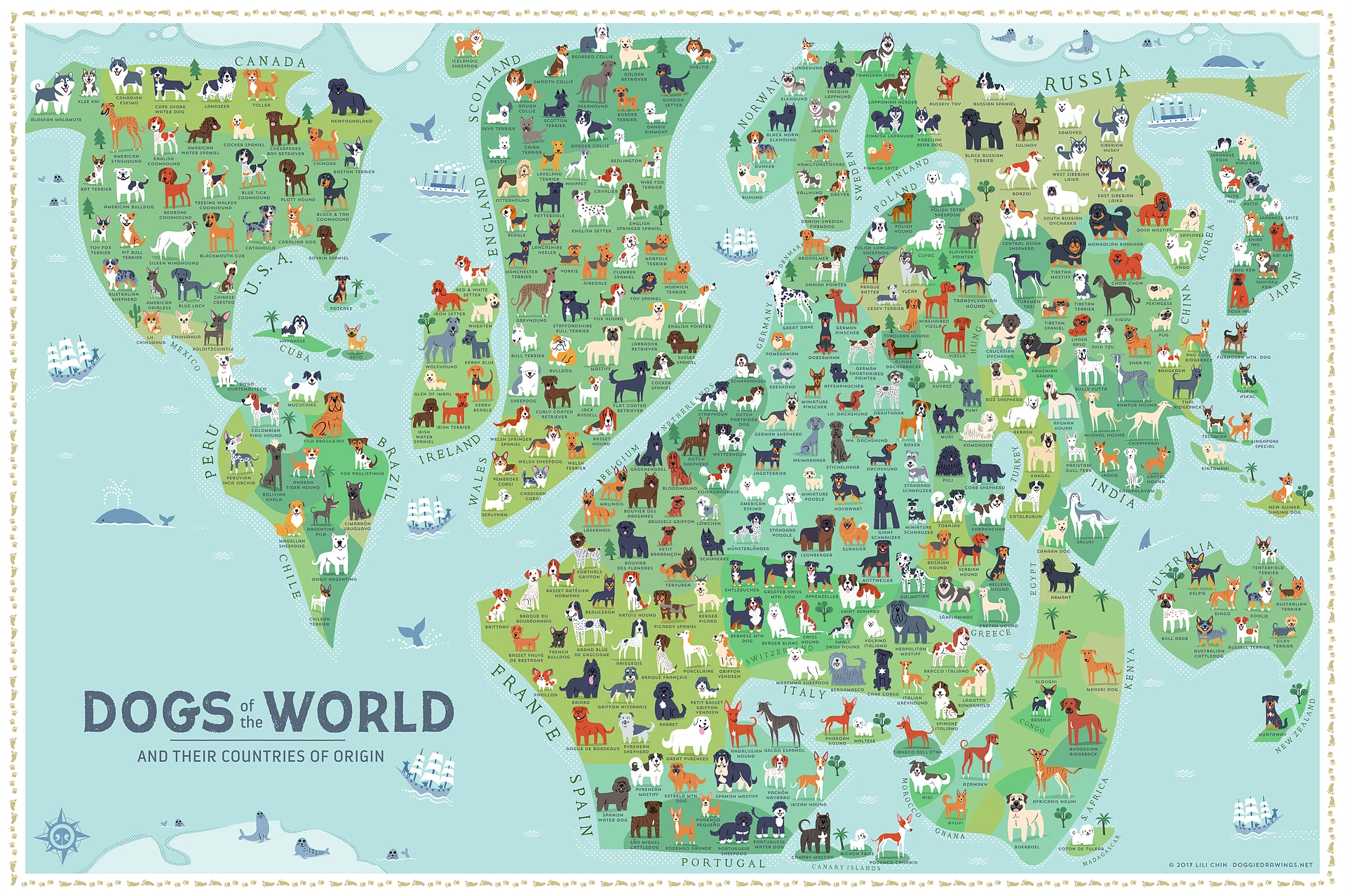 Dogs of the World Map by Lili Chin (@doggiedrawings)