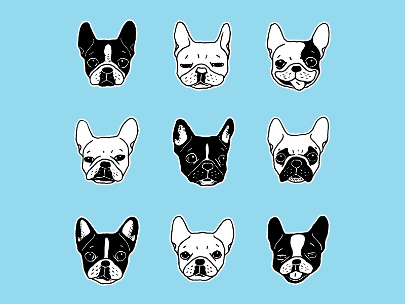 Cute Frenchies Doggie Family Collage by Chee Sim