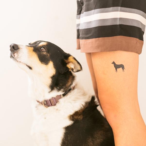 Geometric Australian Shepherd Dog Face Frontal Tattoo Idea  BlackInk