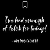 Things My Dog Would Never Say: "I've had enough of fetch for today!