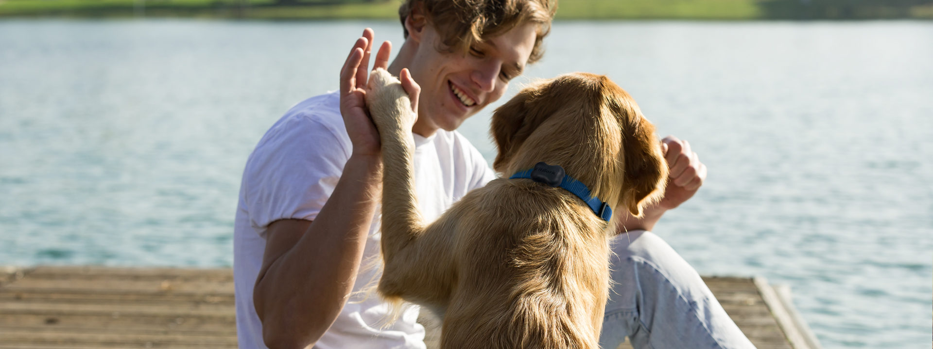 The 6 Best Dog Fitbits and Activity Trackers for Your Pup's Health