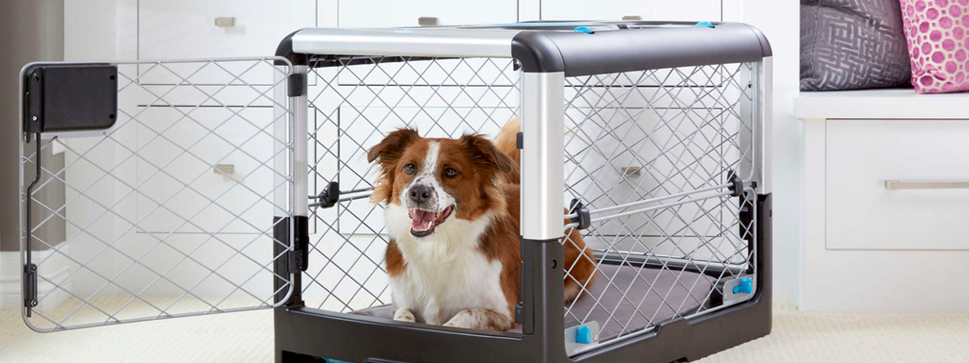 5 Do's and Don'ts of Crate Training - Diggs